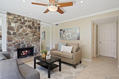 245 Chapalita Dr, Encinitas, CA 92024 photo 7