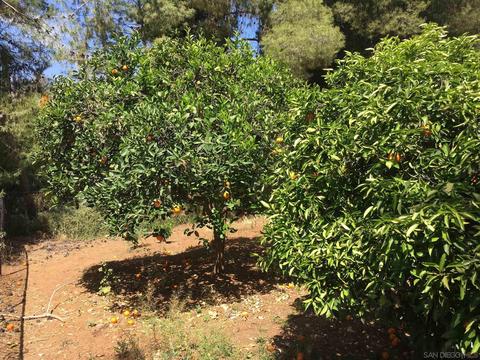 23564 Barona Mesa Rd, Ramona, CA 92065 photo 25