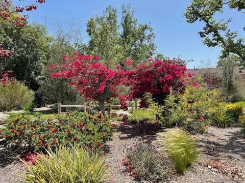 13629 Comuna Dr, Poway, CA 92064 photo 41