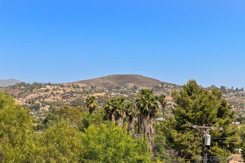 3217 Fairway Dr, La Mesa, CA 91941 photo 29
