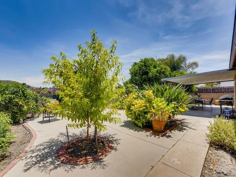 10047 Medina Dr, Santee, CA 92071 photo 28