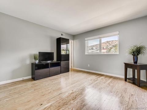 10047 Medina Dr, Santee, CA 92071 photo 20