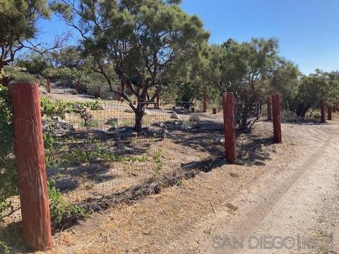 39718 Old Highway 80, Boulevard, CA 91905 photo 46