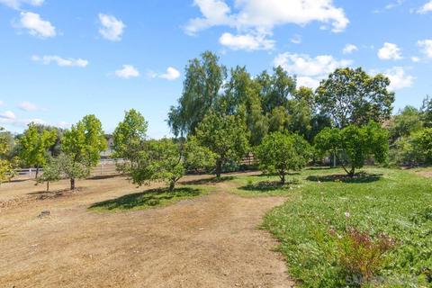 544 Alpine Trail Rd, Alpine, CA 91901 photo 5