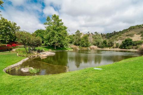 6962 Feldspar Pl, Carlsbad, CA 92009 photo 45