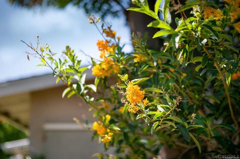 104 Green Ave, Escondido, CA 92025 photo 22