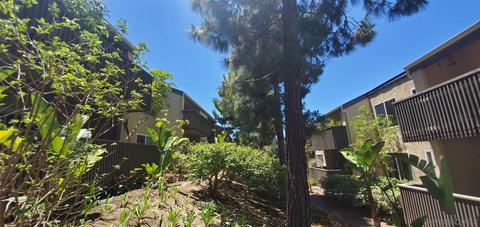 8524 Via Mallorca #B, La Jolla, CA 92037 photo 11