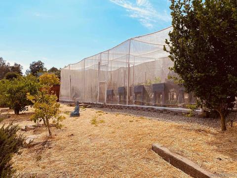 24311 Watt Rd, Ramona, CA 92065 photo 56
