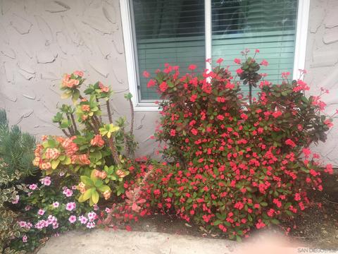 8220 Vincetta Dr #56, La Mesa, CA 91942 photo 12