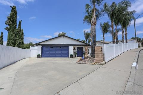 10134 Carrie Ellen Ct, Santee, CA 92071 photo 43