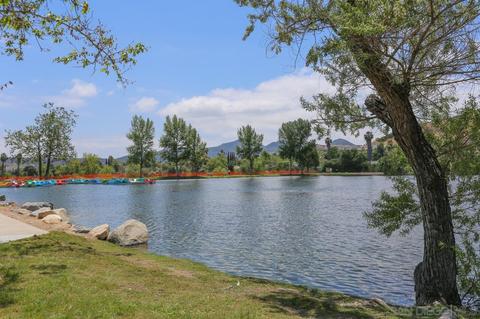 10134 Carrie Ellen Ct, Santee, CA 92071 photo 40
