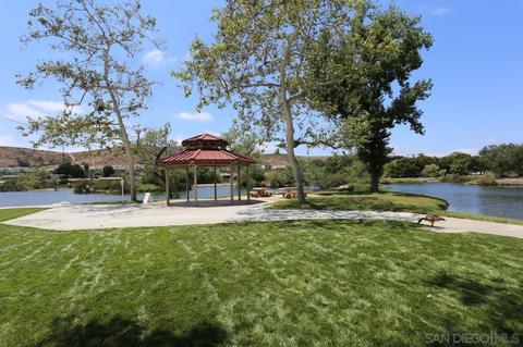 10134 Carrie Ellen Ct, Santee, CA 92071 photo 42