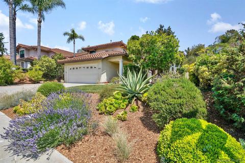 1645 Avenida La Posta, Encinitas, CA 92024 photo 1