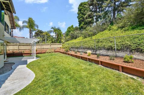 1645 Avenida La Posta, Encinitas, CA 92024 photo 35