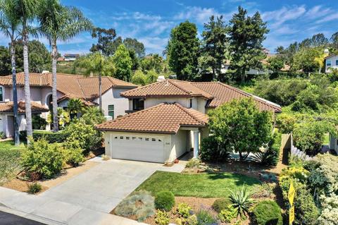 1645 Avenida La Posta, Encinitas, CA 92024 photo 40
