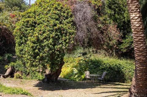10525 Challenge Blvd, La Mesa, CA 91941 photo 35