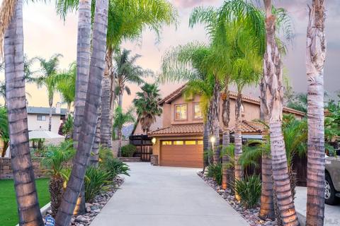 10120 Country Scenes Ct, Santee, CA 92071 photo 1