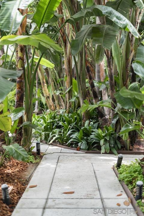 7264 Estrella De Mar Rd, Carlsbad, CA 92009 photo 52