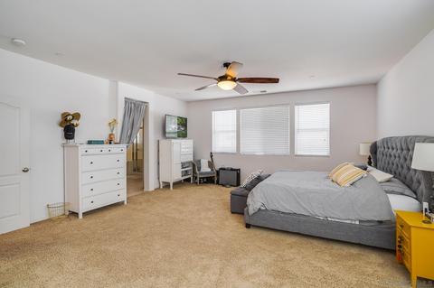 10018 Merry Brook Trl, Santee, CA 92071 photo 24