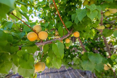 4946 Wildwood Dr, Oceanside, CA 92057 photo 37