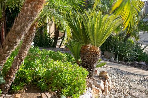 1375 Graham Pl, Escondido, CA 92026 photo 4