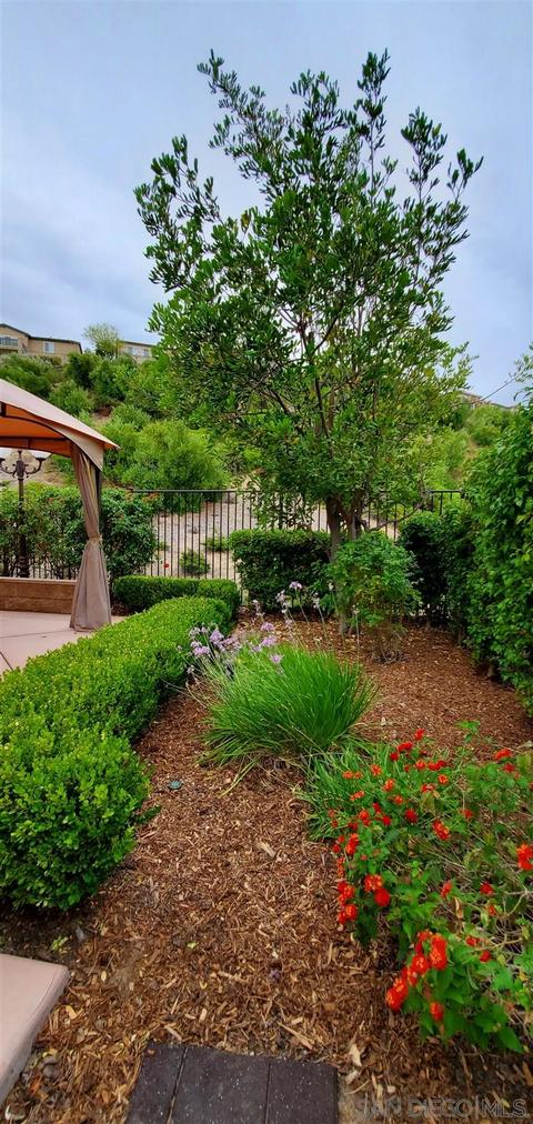 44225 Nighthawk Pass, Temecula, CA 92592 photo 24