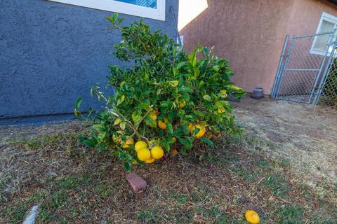 819 Iris Ave, Imperial Beach, CA 91932 photo 38