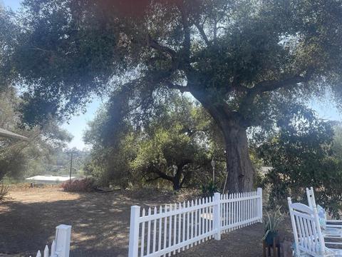 1007 Quail Knoll Rd, Fallbrook, CA 92028 photo 8