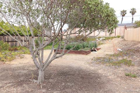 6661 Michaeljohn, La Jolla, CA 92037 photo 21