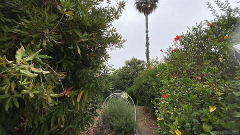 Undisclosed, Fallbrook, CA 92028 photo 14