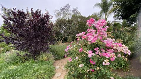 Undisclosed, Fallbrook, CA 92028 photo 15