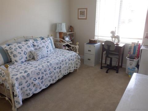 515 Paloma Ct, Encinitas, CA 92024 photo 23