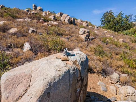 15239 Espola Rd, Poway, CA 92064 photo 47