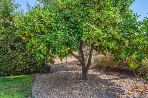 17003 Saint Andrews Dr, Poway, CA 92064 photo 10