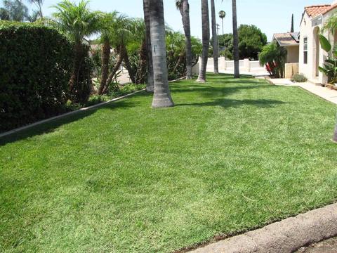 9723 Cypress St, Lakeside, CA 92040 photo 7