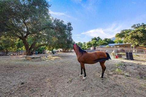 14725 Lyons Valley Rd, Jamul, CA 91935 photo 48