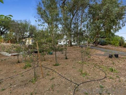 6460 Rainbow Heights Rd, Fallbrook, CA 92028 photo 33