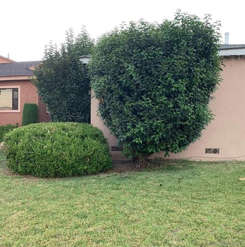 13906 S Nestor Ave, Compton, CA 90222 photo 15