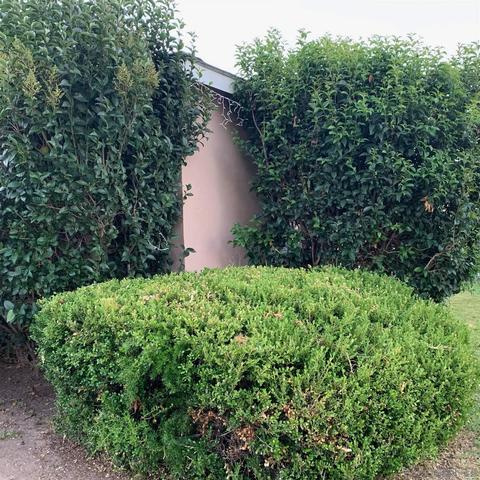 13906 S Nestor Ave, Compton, CA 90222 photo 8