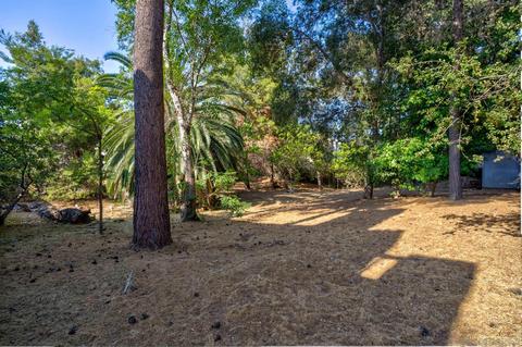 8640 Lemon Ave, La Mesa, CA 91941 photo 42