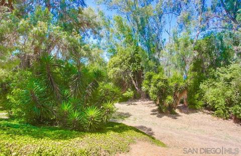 3019 Via De Caballo, Encinitas, CA 92024 photo 47