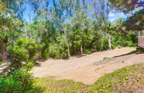 3019 Via De Caballo, Encinitas, CA 92024 photo 46