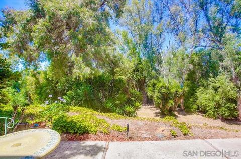 3019 Via De Caballo, Encinitas, CA 92024 photo 45