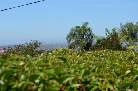 4245 Eastridge Dr, La Mesa, CA 91941 photo 46