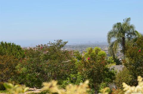 4245 Eastridge Dr, La Mesa, CA 91941 photo 48