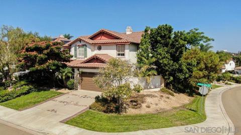 8037 Paseo Avellano, Carlsbad, CA 92009 photo 40