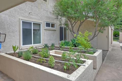 401 Avenida Adobe, Escondido, CA 92029 photo 43