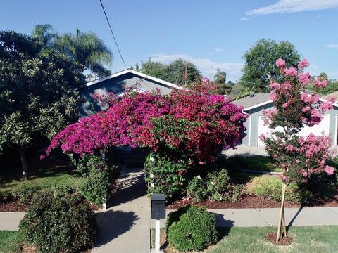 1430 S Maple St, Escondido, CA 92025 photo 23
