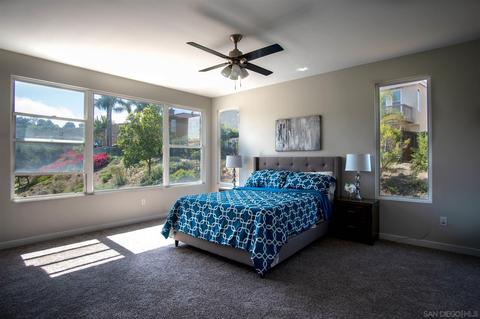 3729 Strata Dr, Carlsbad, CA 92010 photo 20