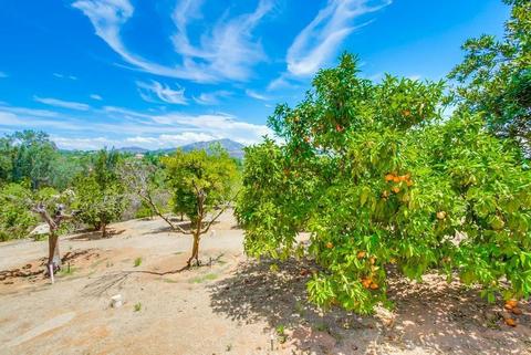 13595 Del Poniente Rd, Poway, CA 92064 photo 61